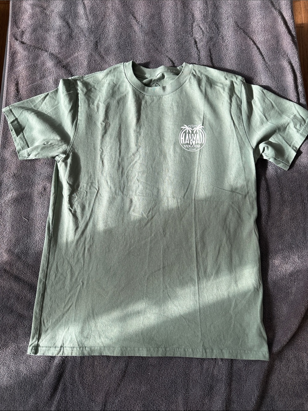 Volcom Men’s Sage Green Hava Logo Short Sleeve Tee